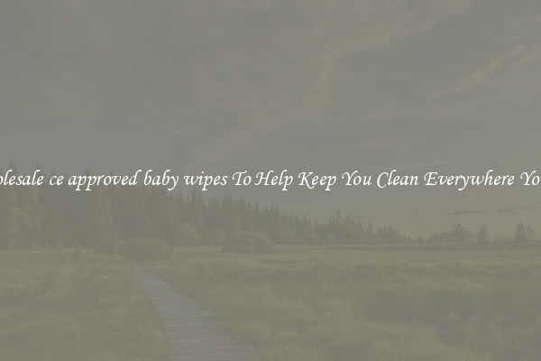 Wholesale ce approved baby wipes To Help Keep You Clean Everywhere You Go