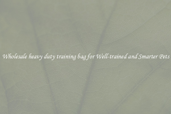 Wholesale heavy duty training bag for Well-trained and Smarter Pets