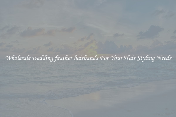Wholesale wedding feather hairbands For Your Hair Styling Needs