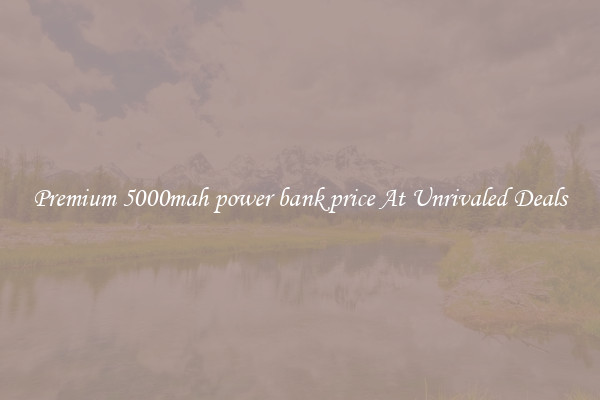 Premium 5000mah power bank price At Unrivaled Deals
