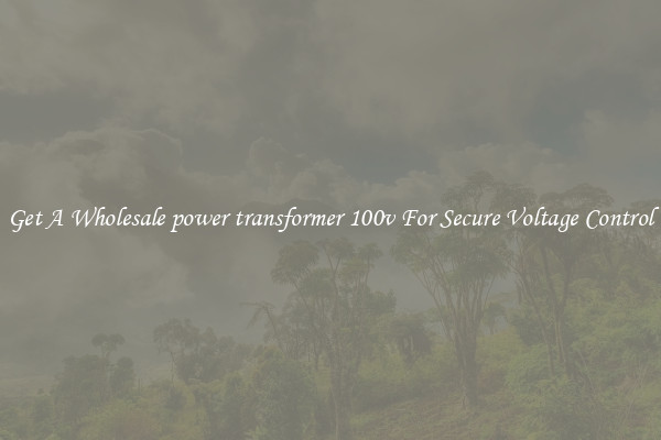 Get A Wholesale power transformer 100v For Secure Voltage Control