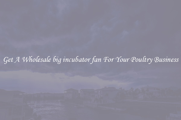 Get A Wholesale big incubator fan For Your Poultry Business
