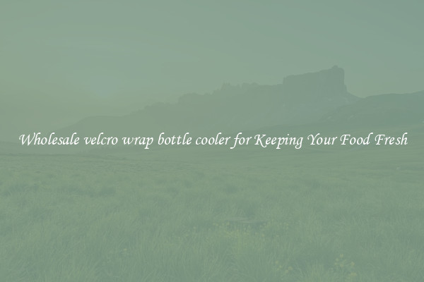 Wholesale velcro wrap bottle cooler for Keeping Your Food Fresh