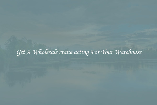 Get A Wholesale crane acting For Your Warehouse
