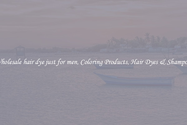 Wholesale hair dye just for men, Coloring Products, Hair Dyes & Shampoos