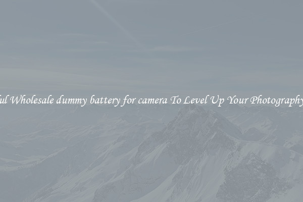 Useful Wholesale dummy battery for camera To Level Up Your Photography Skill
