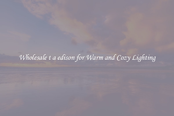 Wholesale t a edison for Warm and Cozy Lighting