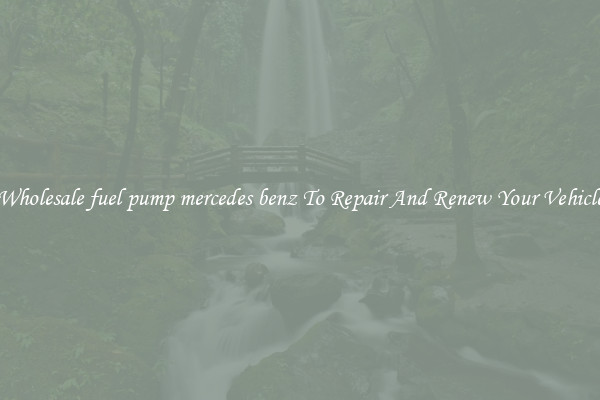 Wholesale fuel pump mercedes benz To Repair And Renew Your Vehicle