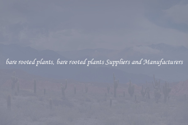 bare rooted plants, bare rooted plants Suppliers and Manufacturers