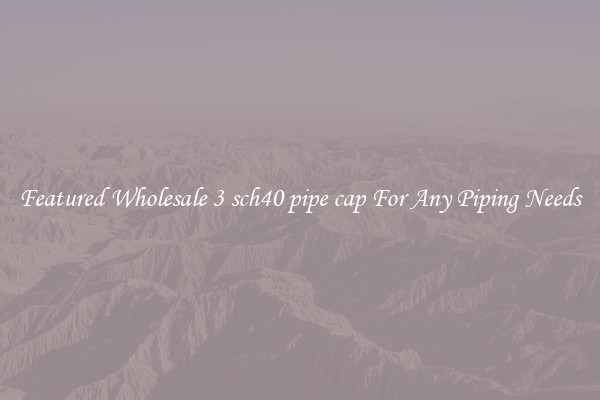 Featured Wholesale 3 sch40 pipe cap For Any Piping Needs