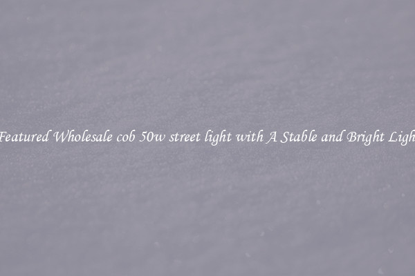 Featured Wholesale cob 50w street light with A Stable and Bright Light
