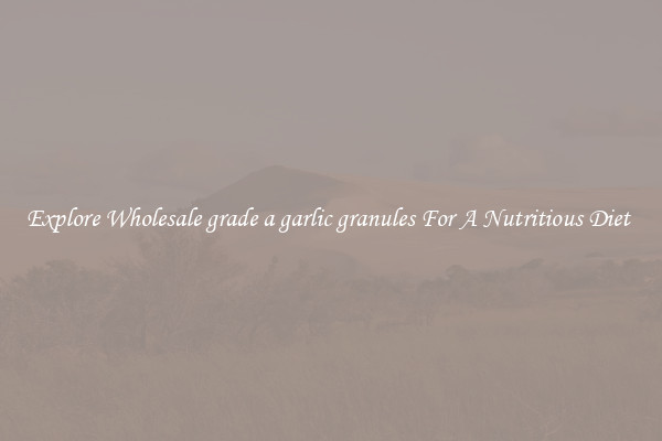 Explore Wholesale grade a garlic granules For A Nutritious Diet 
