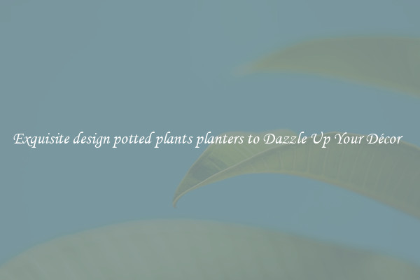 Exquisite design potted plants planters to Dazzle Up Your Décor  