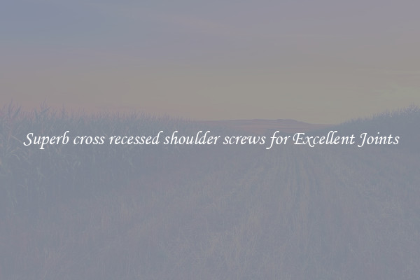 Superb cross recessed shoulder screws for Excellent Joints