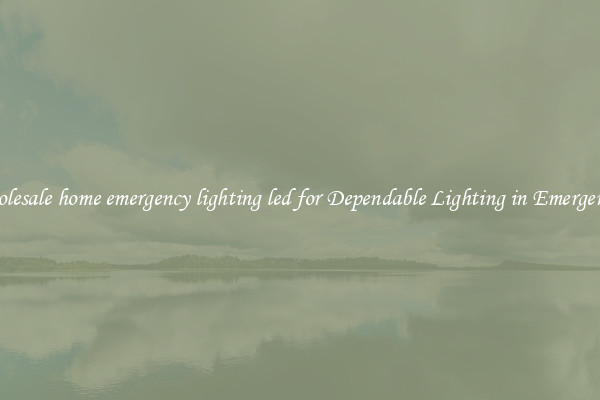 Wholesale home emergency lighting led for Dependable Lighting in Emergencies