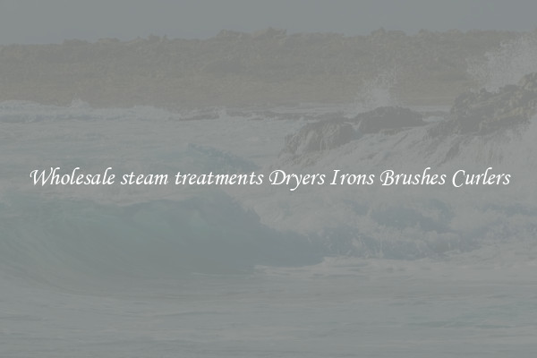 Wholesale steam treatments Dryers Irons Brushes Curlers