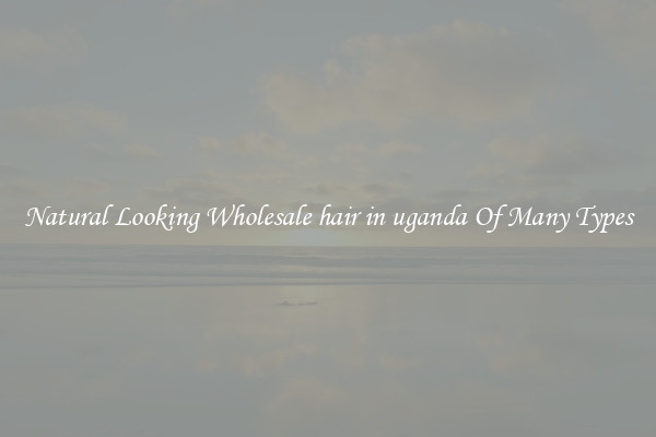 Natural Looking Wholesale hair in uganda Of Many Types