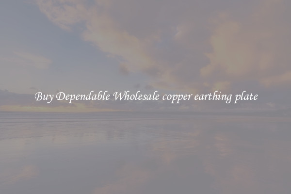 Buy Dependable Wholesale copper earthing plate