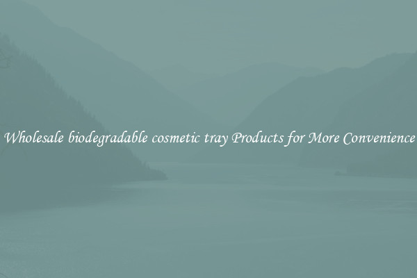 Wholesale biodegradable cosmetic tray Products for More Convenience