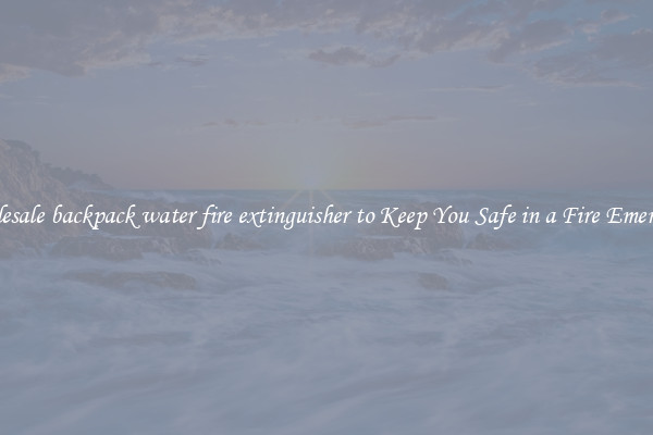 Wholesale backpack water fire extinguisher to Keep You Safe in a Fire Emergency