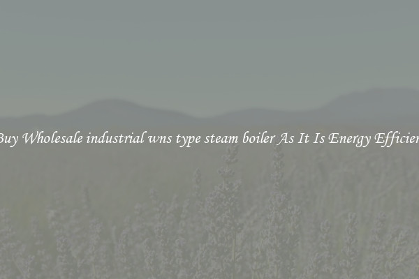 Buy Wholesale industrial wns type steam boiler As It Is Energy Efficient