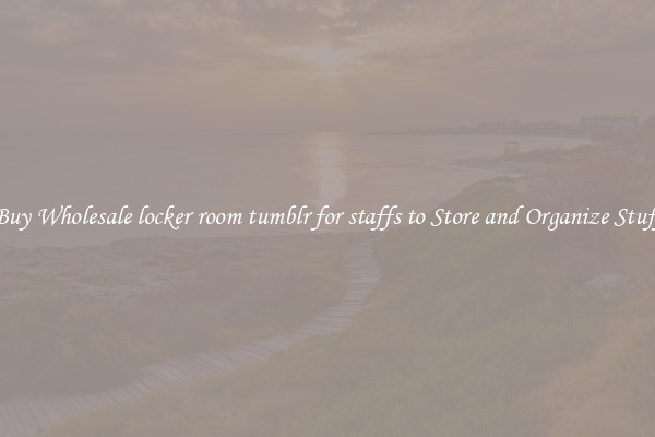 Buy Wholesale locker room tumblr for staffs to Store and Organize Stuff