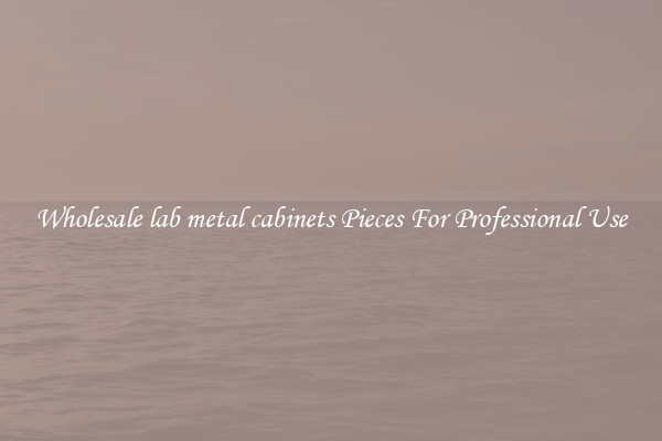 Wholesale lab metal cabinets Pieces For Professional Use