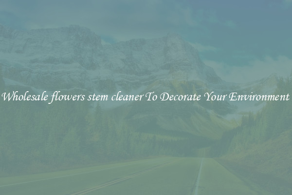 Wholesale flowers stem cleaner To Decorate Your Environment 