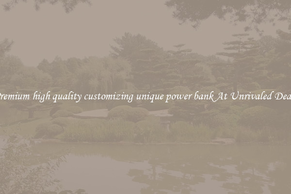 Premium high quality customizing unique power bank At Unrivaled Deals