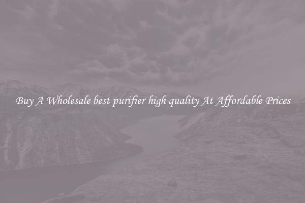 Buy A Wholesale best purifier high quality At Affordable Prices