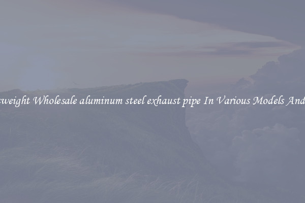 Lightweight Wholesale aluminum steel exhaust pipe In Various Models And Sizes