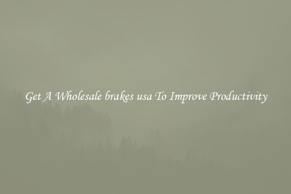 Get A Wholesale brakes usa To Improve Productivity