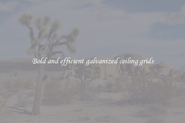 Bold and efficient galvanized ceiling grids
