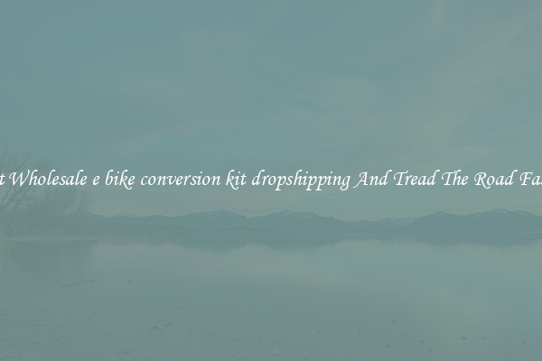 Get Wholesale e bike conversion kit dropshipping And Tread The Road Faster
