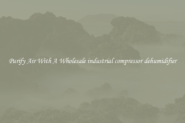 Purify Air With A Wholesale industrial compressor dehumidifier